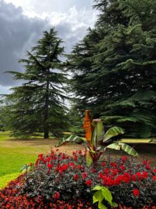 agatravel_greenwich_park_gardens