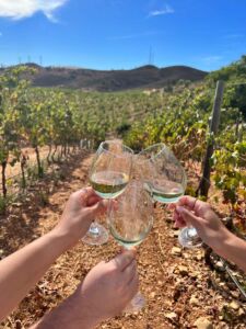 agatravel_lagos_vineyard
