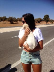 agatravel_goat_morocco