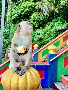 agatravel_kuala_lumpur_batu