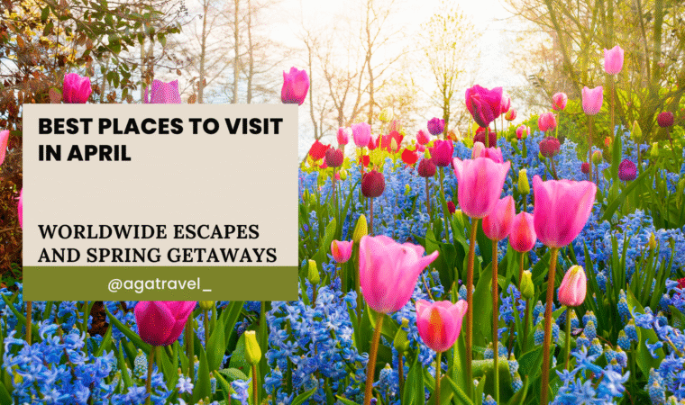 best things to do in april text over spring flowers