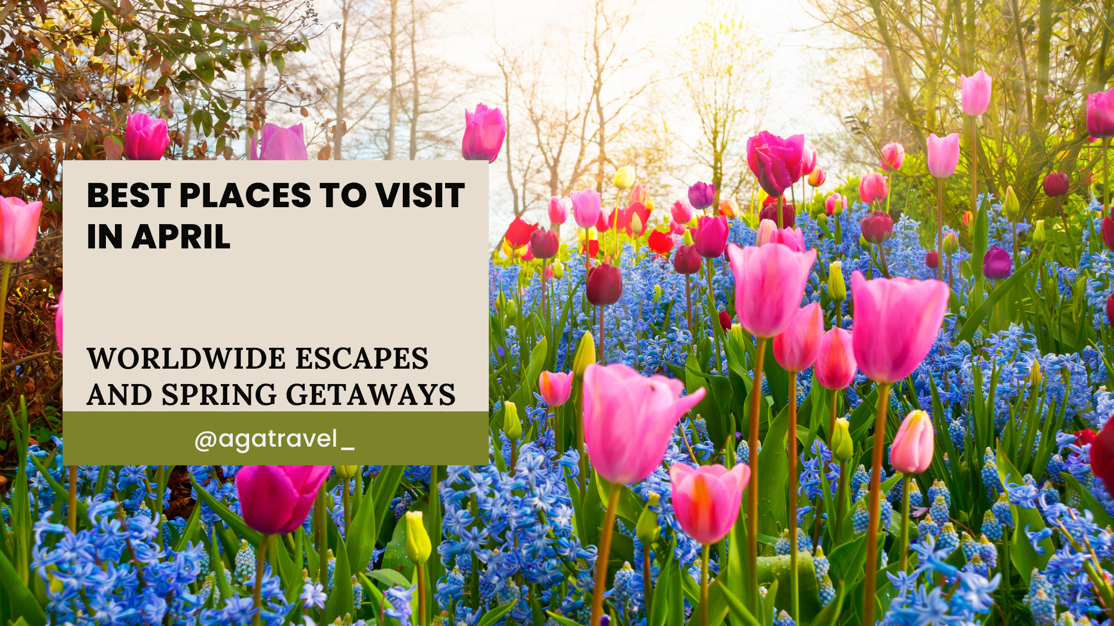 best things to do in april text over spring flowers